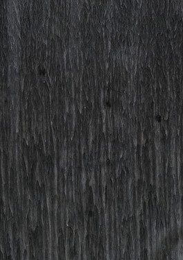 Geoffrey Pauchard design workshop