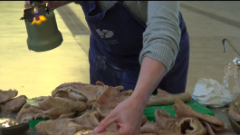 Geoffrey Pauchard design workshop