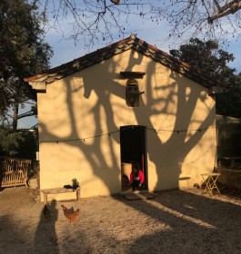 Geoffrey Pauchard design workshop