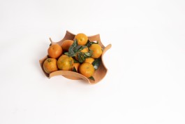 Geoffrey Pauchard design workshop